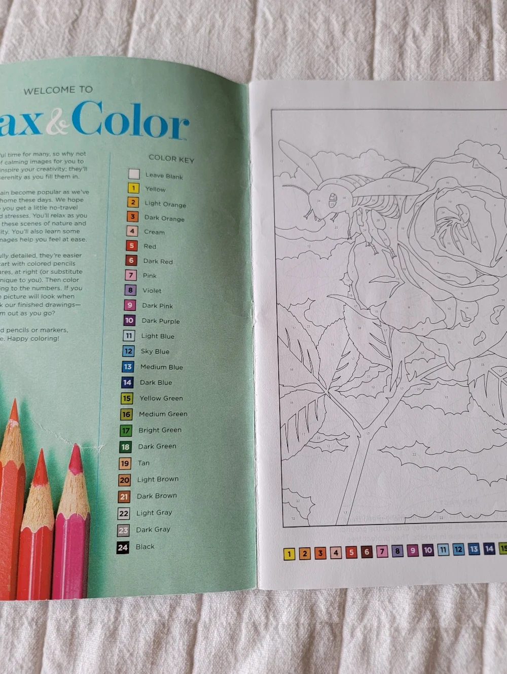 Set of 2 Coloring Books Relax & Color and Living Wonders Color Art